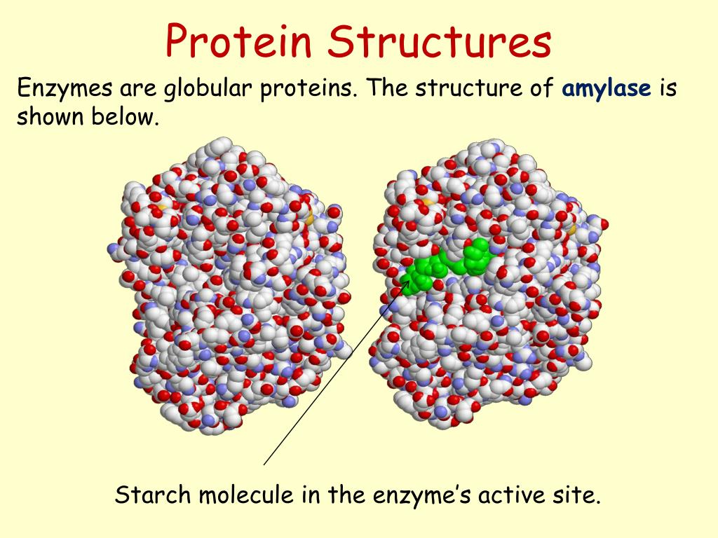 PPT Polymer Molecules PowerPoint Presentation, free download ID1350865