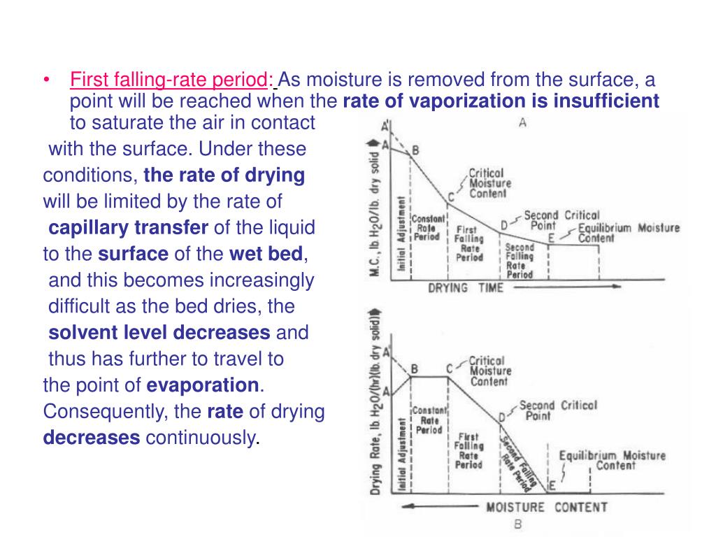 PPT Drying PowerPoint Presentation, free download ID1355007