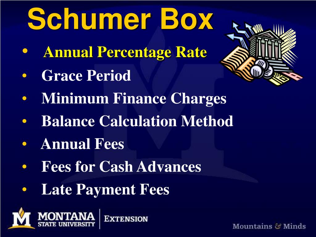 PPT Selecting a Credit Card PowerPoint Presentation, free download
