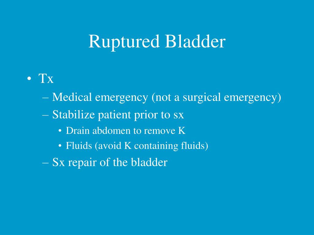 PPT NEONATOLOGY PowerPoint Presentation, free download ID1357930