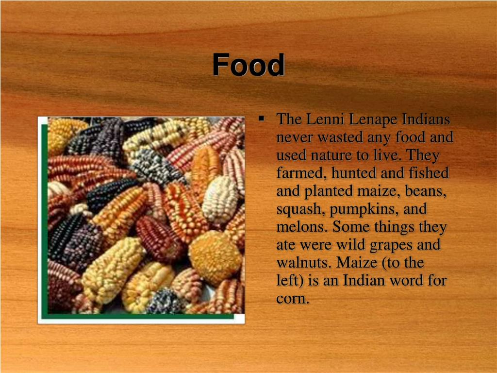 PPT A Day In The Life Of A Lenni Lenape PowerPoint Presentation, free