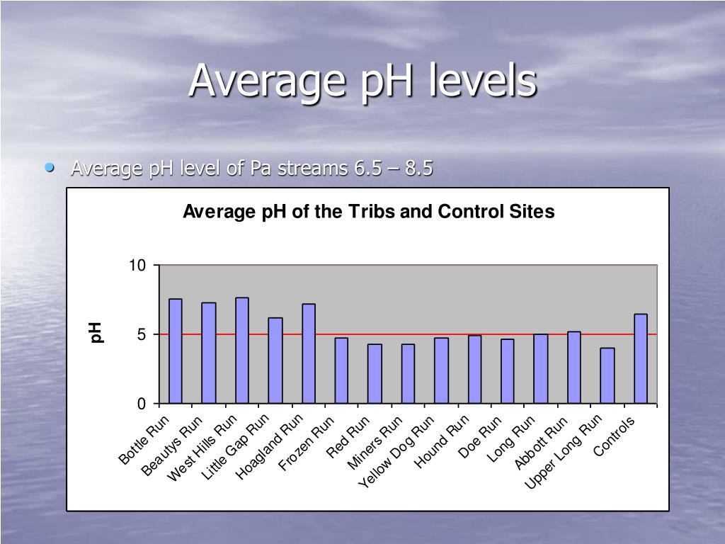 PPT Assessment of the Creek Watershed PowerPoint