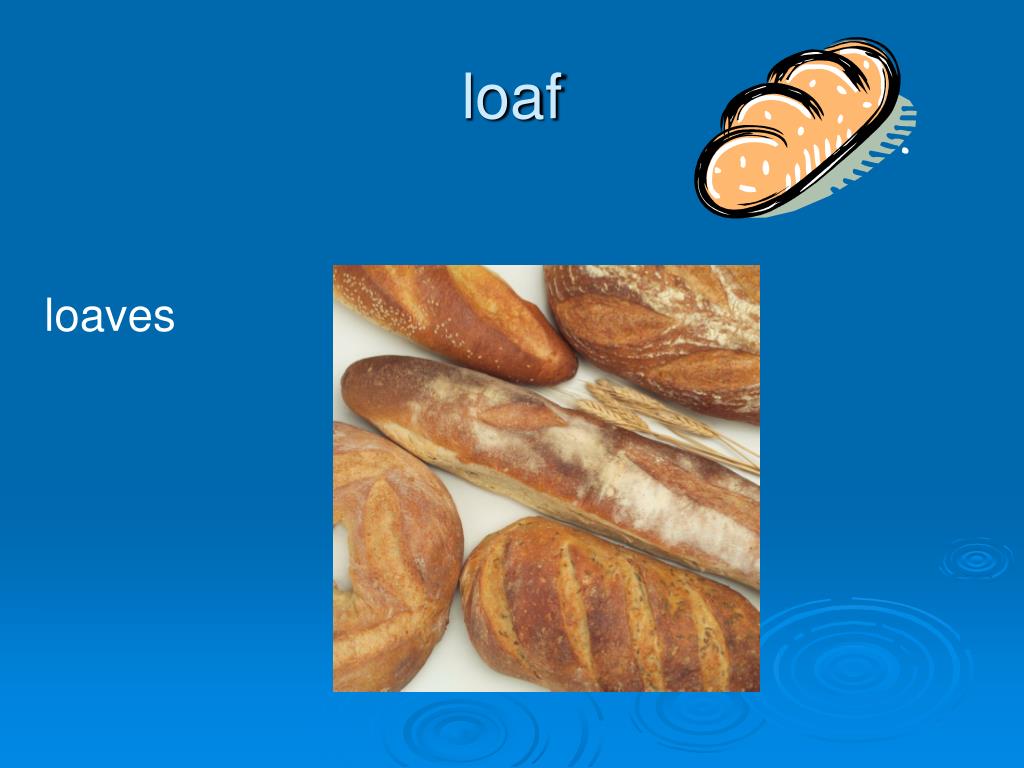 PPT Plural Nouns A South Dakota School for the Deaf Language Activity