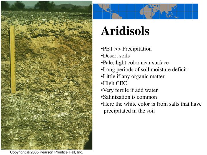 PPT Chapter 18 The Geography of Soils PowerPoint Presentation ID