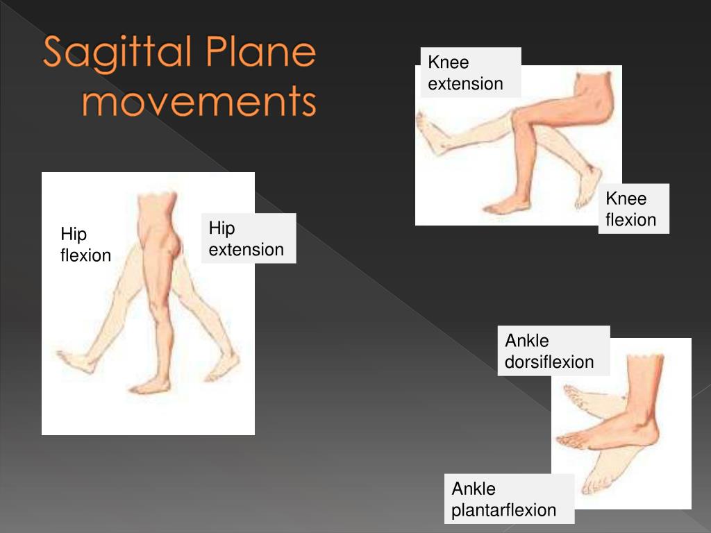 Sagittal Plane Movements