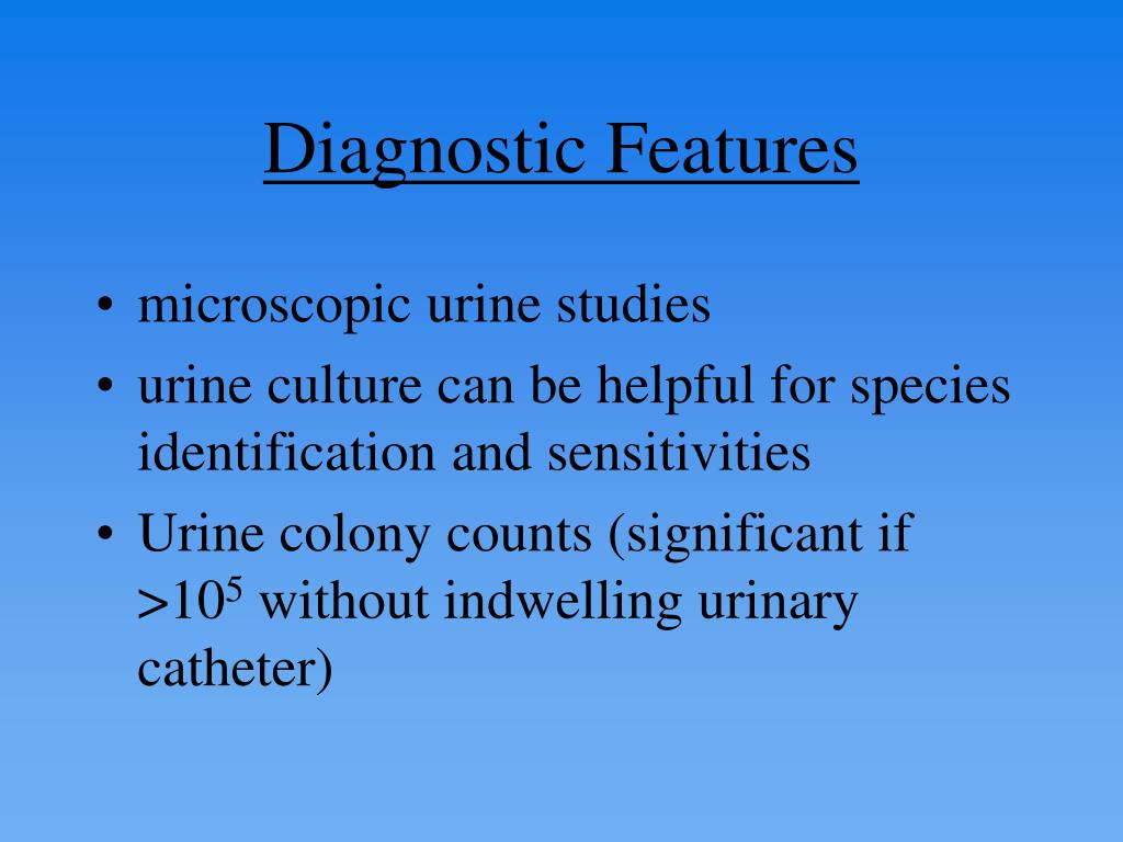PPT Fungal Urinary Tract Infections Diagnosis and Management PowerPoint Presentation ID1367078