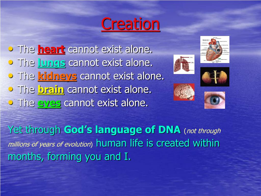 PPT God’s Creation PowerPoint Presentation, free download ID1370598