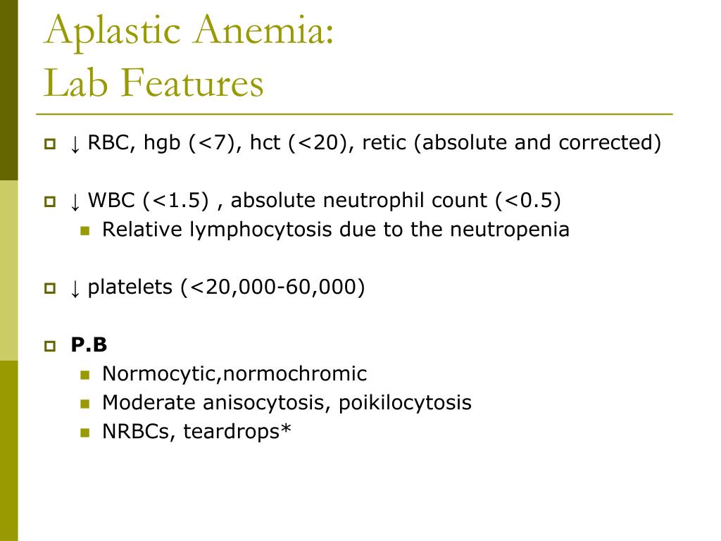 PPT MLAB 1415Hematology Keri BrophyMartinez PowerPoint Presentation