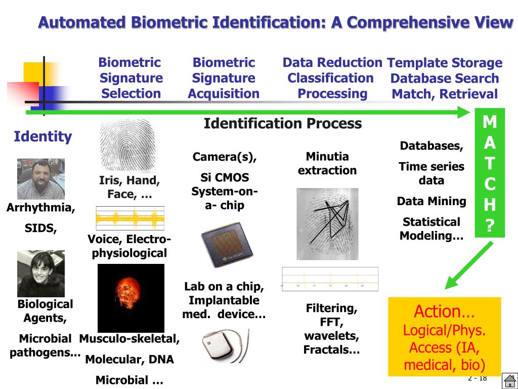 PPT The Architecture of Biometrics Systems PowerPoint Presentation