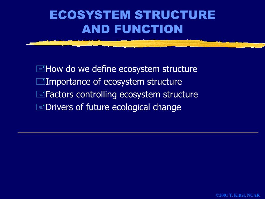 PPT ECOSYSTEM STRUCTURE AND FUNCTION PowerPoint Presentation, free