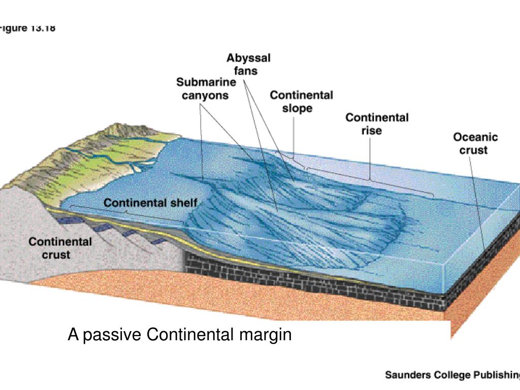 PPT Ocean Basins PowerPoint Presentation, free download ID137805
