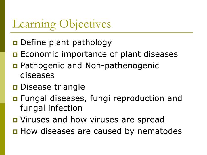 Disease Triangle In Plant Pathology Garden Bugs