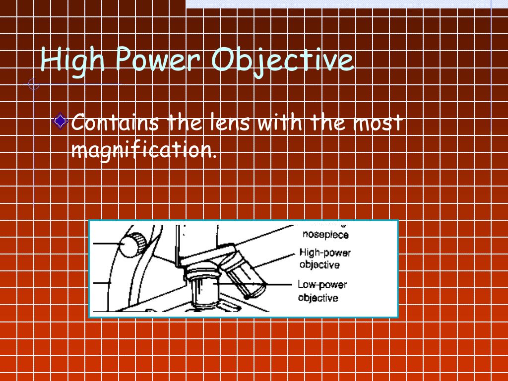 PPT Laboratory 1 PowerPoint Presentation, free download ID1380142