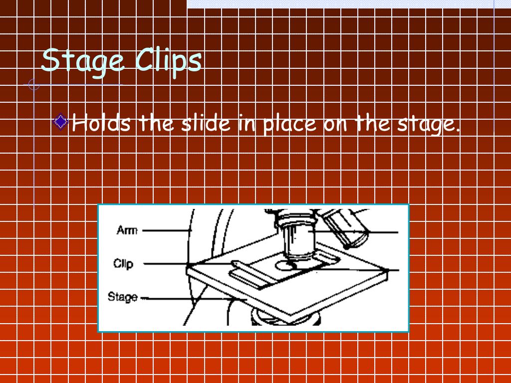 PPT Laboratory 1 PowerPoint Presentation, free download ID1380142