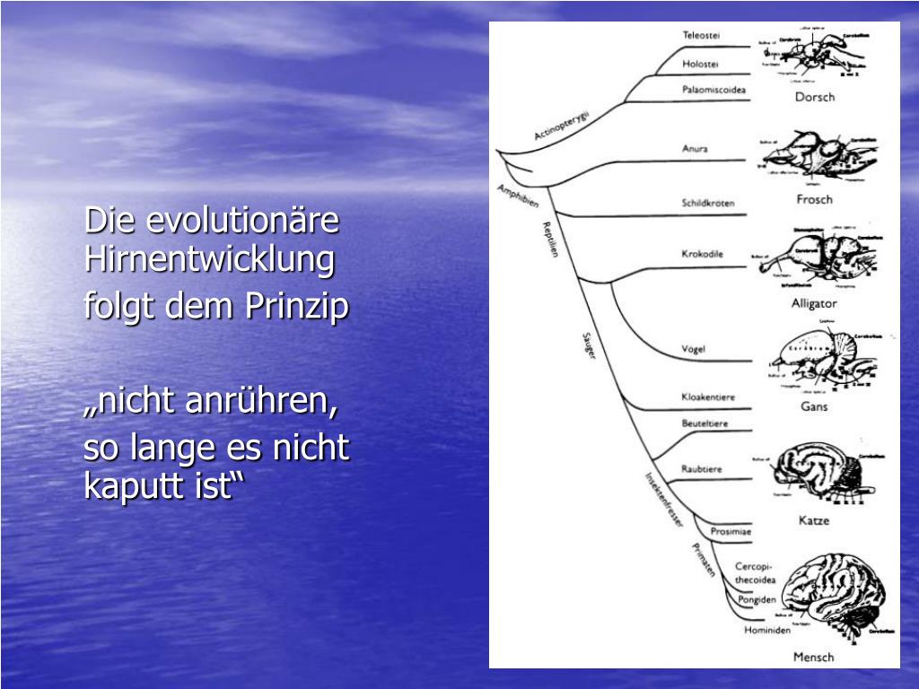 PPT Emotionen aus Sicht der Psychologie PowerPoint