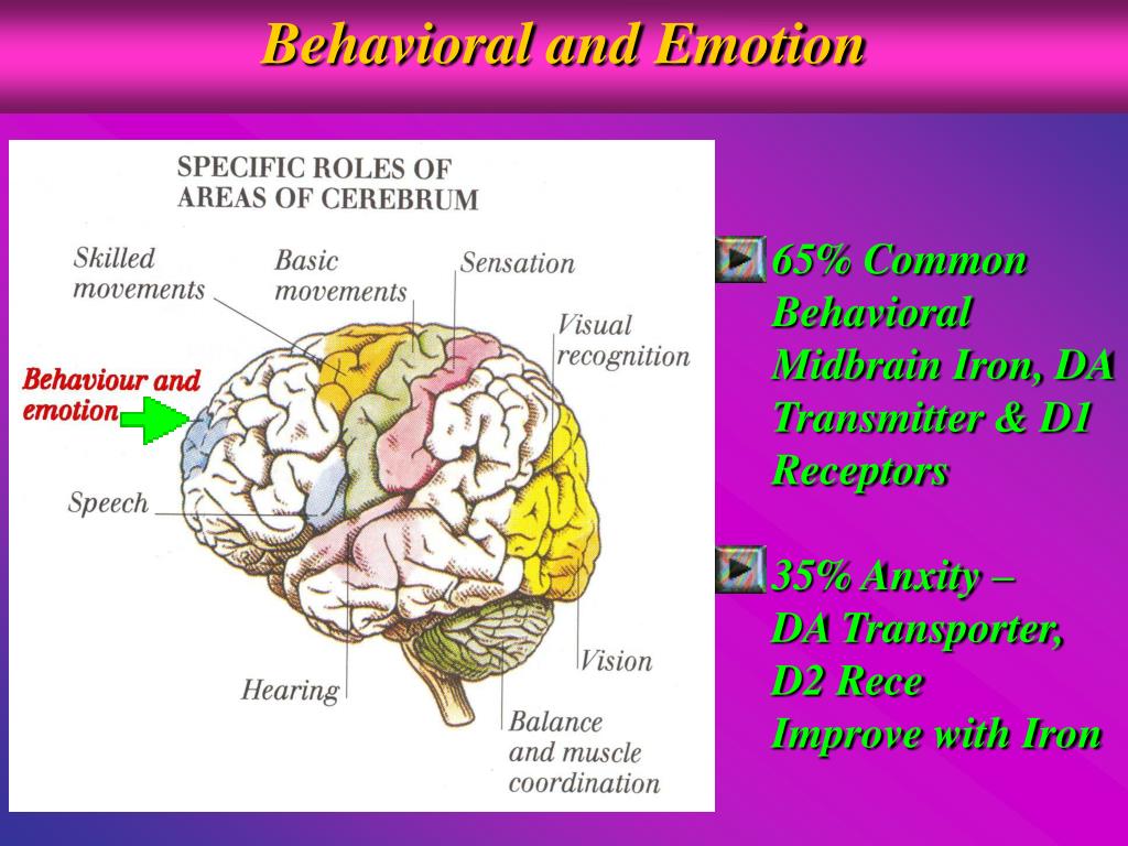 PPT Effects of Iron deficiency on Physical and Mental functions in
