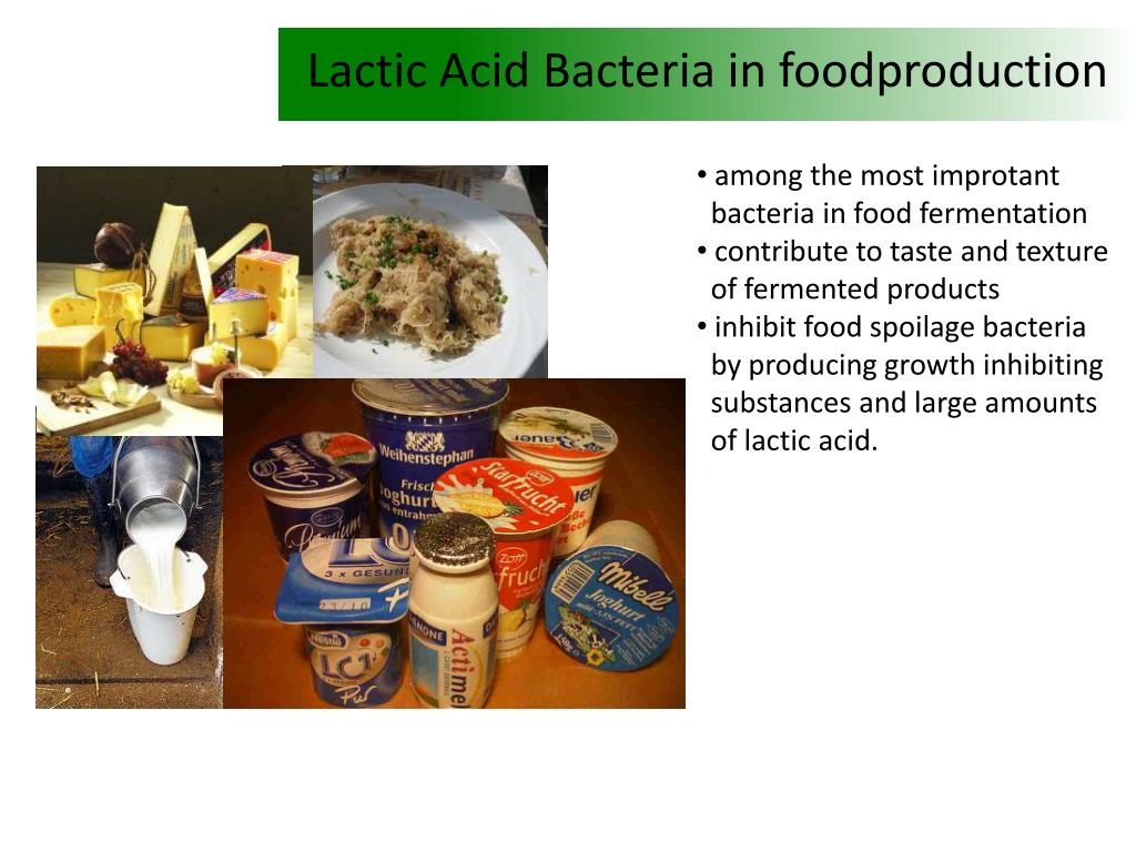 PPT Lactic Acid Bacteria PowerPoint Presentation, free download ID