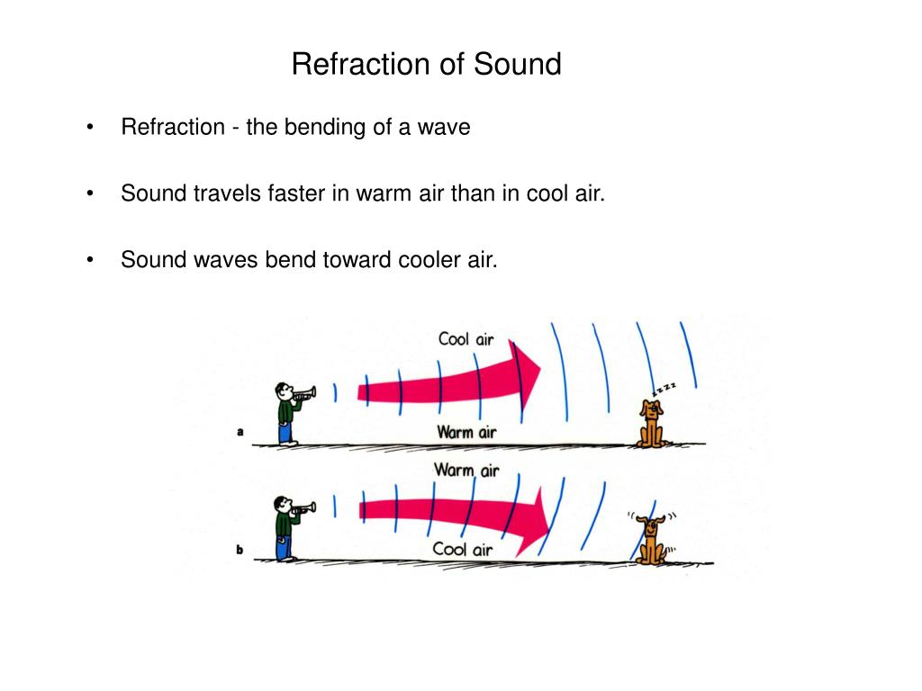 PPT Test 2 Review PowerPoint Presentation, free download ID1384805