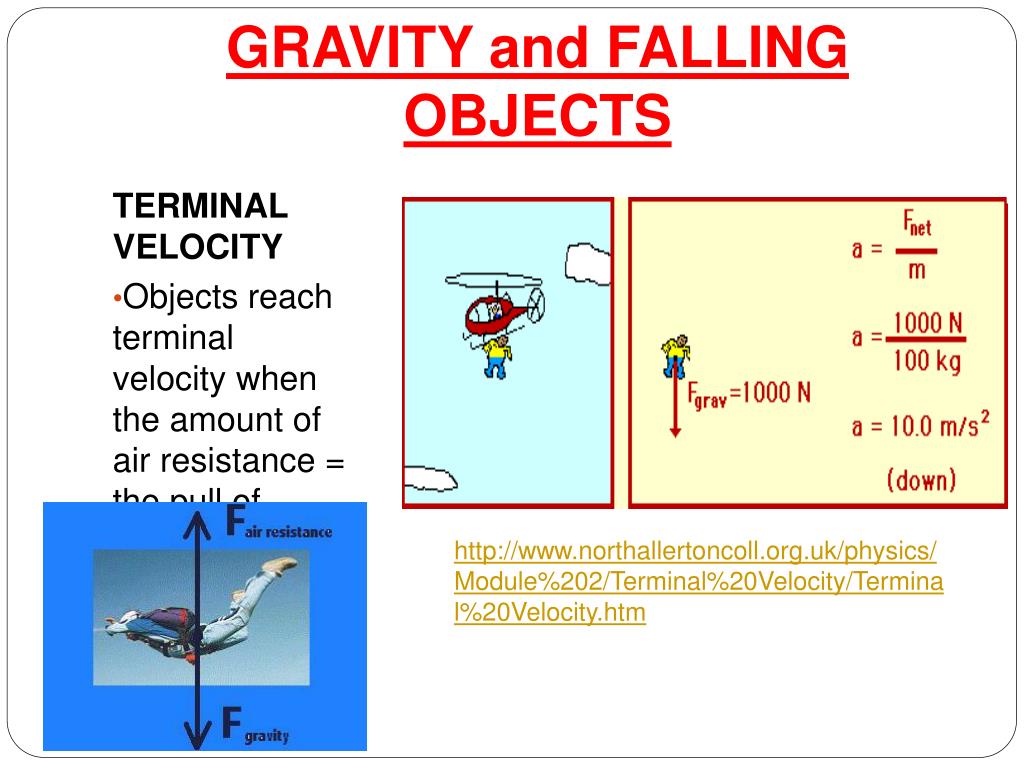 PPT Big Idea 13 Forces and Changes in Motion PowerPoint