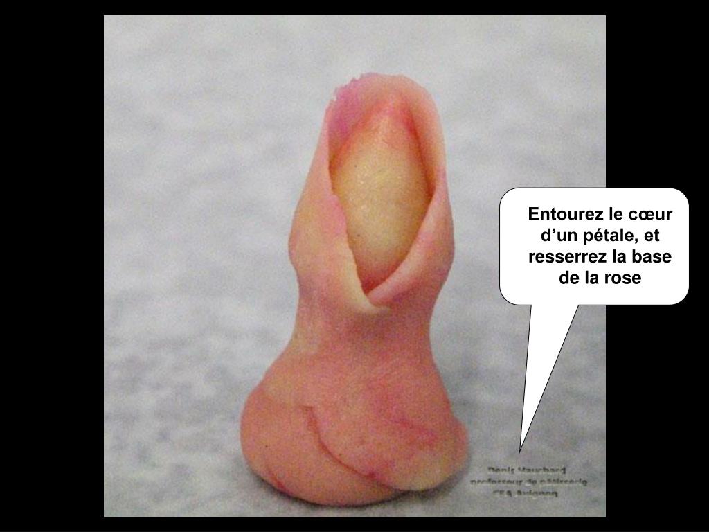 PPT Mignonne, allons voir si la rose, Qui ce matin est éclose