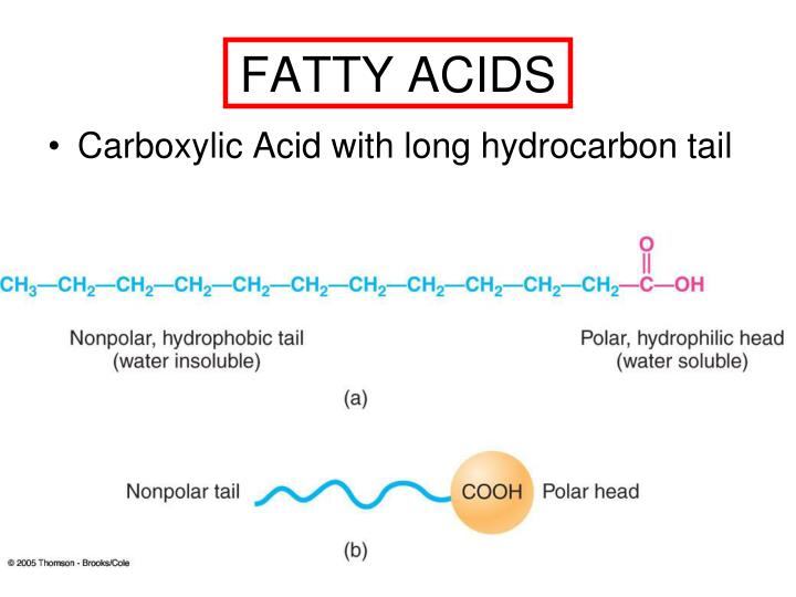 PPT A biological compound that is not soluble in water, but is