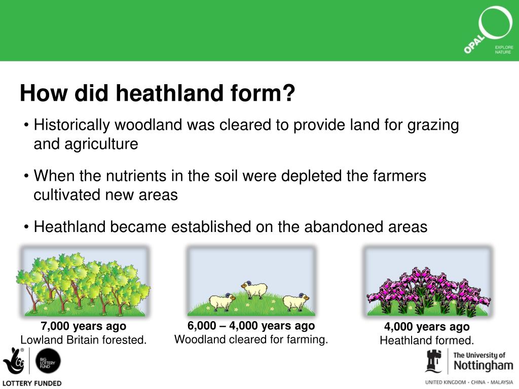 PPT Heathland field trip How Polluted!? PowerPoint Presentation, free