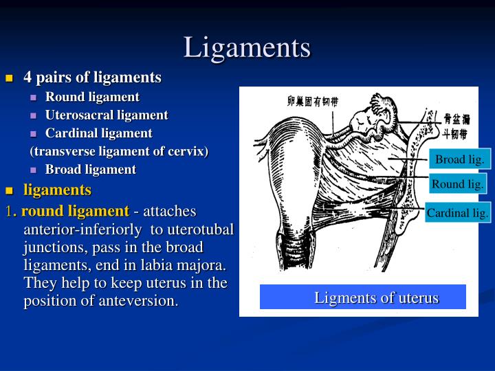 PPT Reference PowerPoint Presentation ID1396839