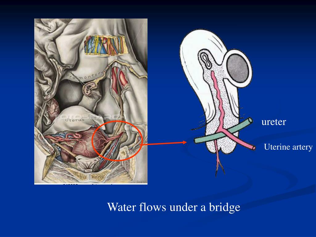 PPT Reference PowerPoint Presentation, free download ID1396839
