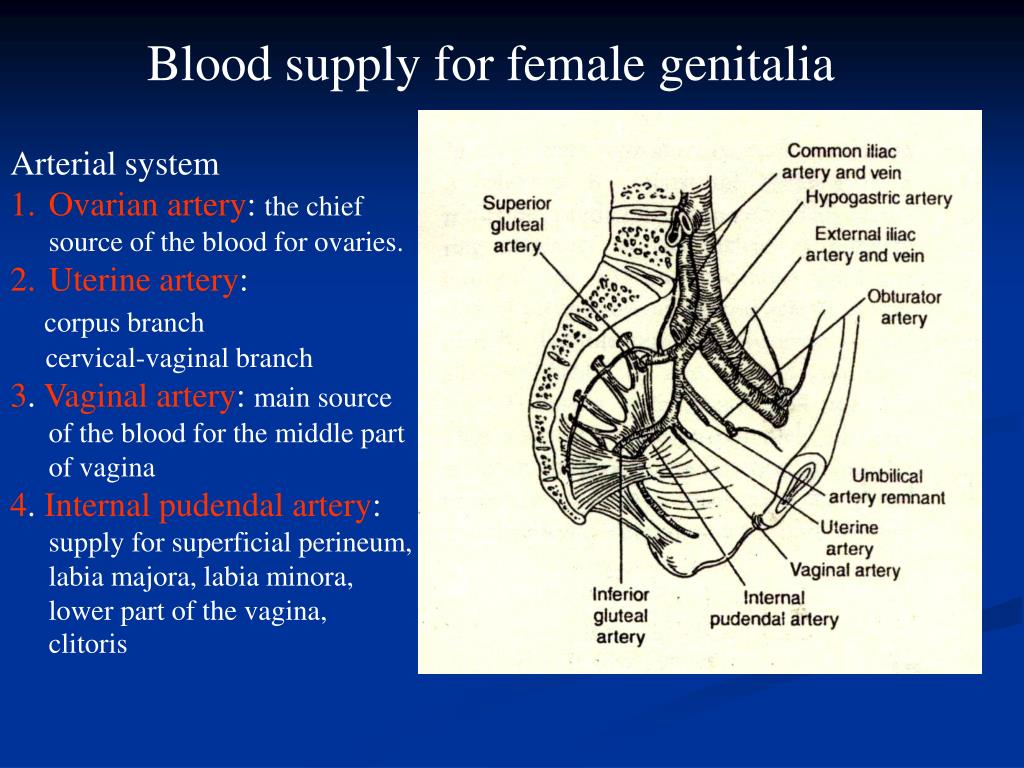 PPT Reference PowerPoint Presentation, free download ID1396839