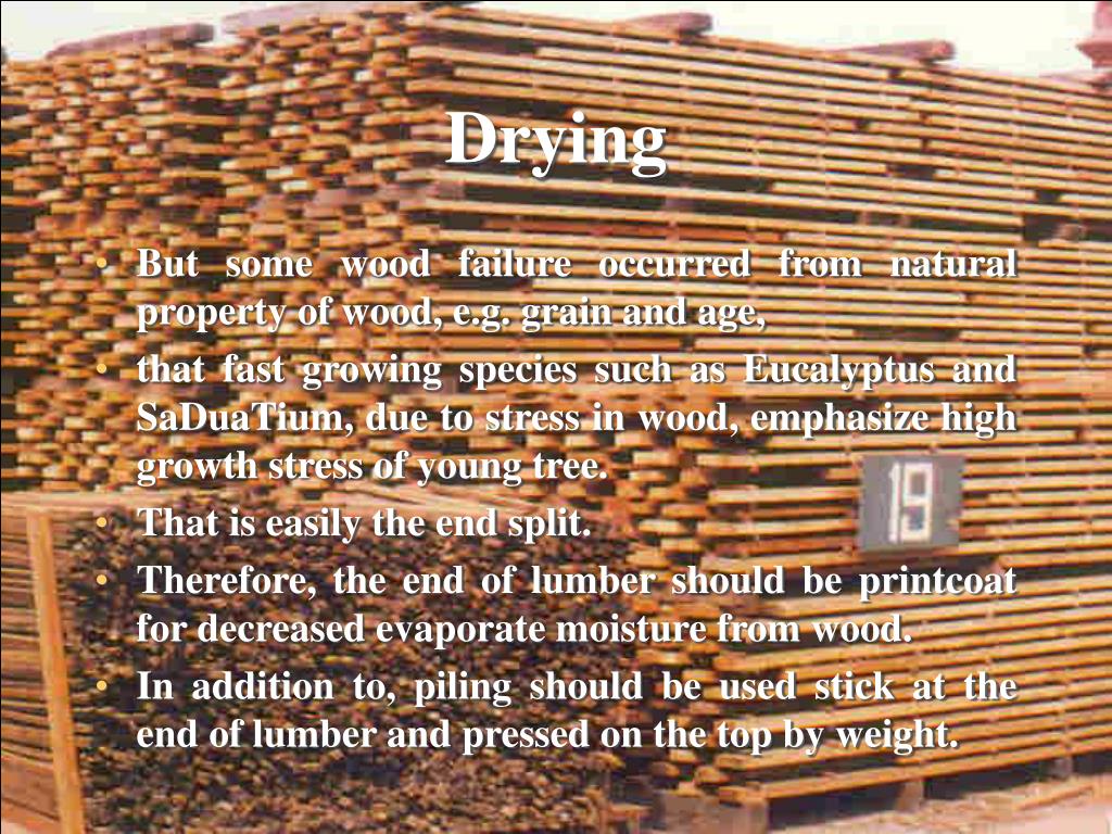 PPT Drying PowerPoint Presentation, free download ID1397889