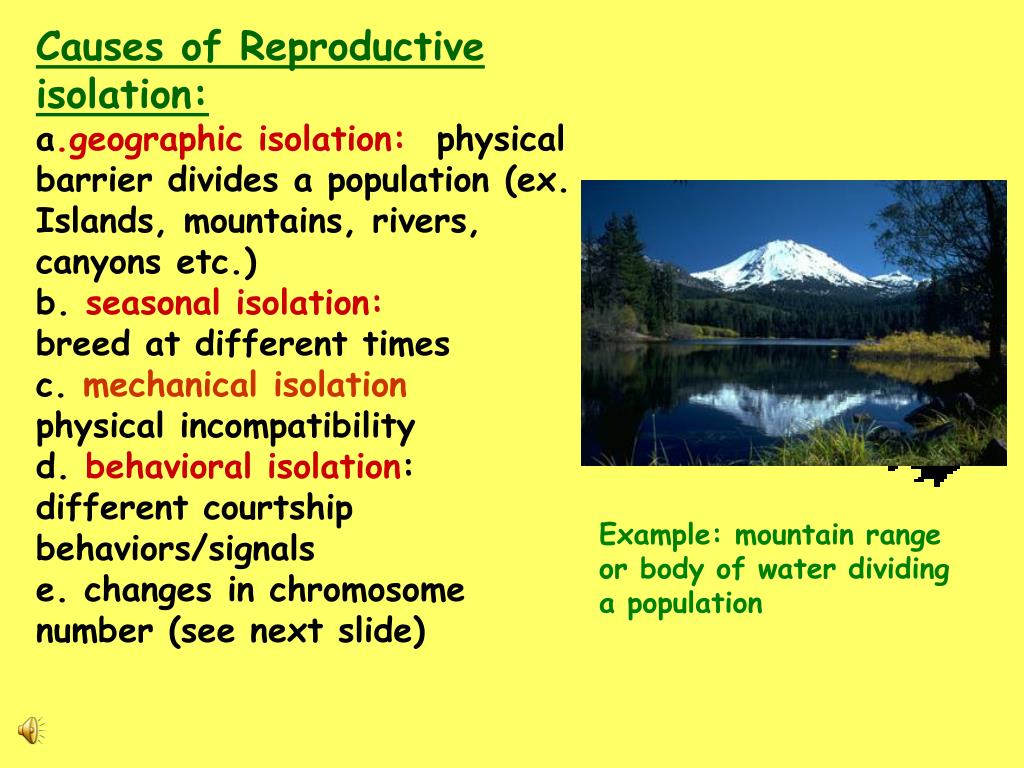 PPT Mechanisms of Evolution PowerPoint Presentation, free download