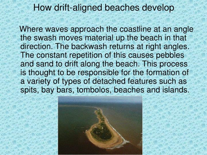 PPT Features of Drift aligned Beaches PowerPoint Presentation ID