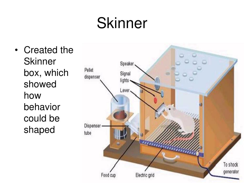 PPT LEARNING PowerPoint Presentation, free download ID1399211