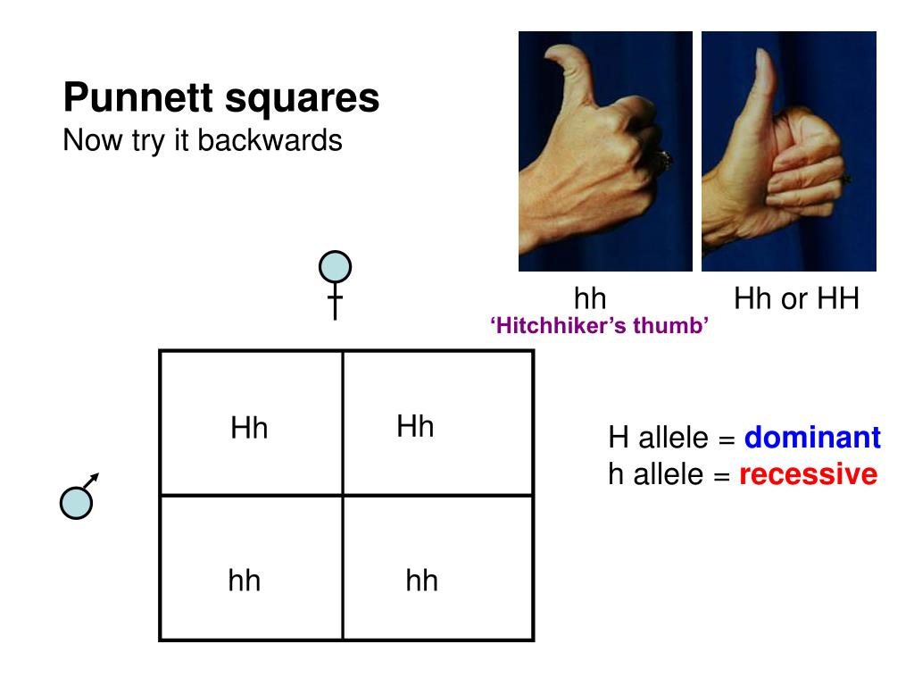 PPT 1. 2. DNA 3. Metabolic PowerPoint Presentation, free