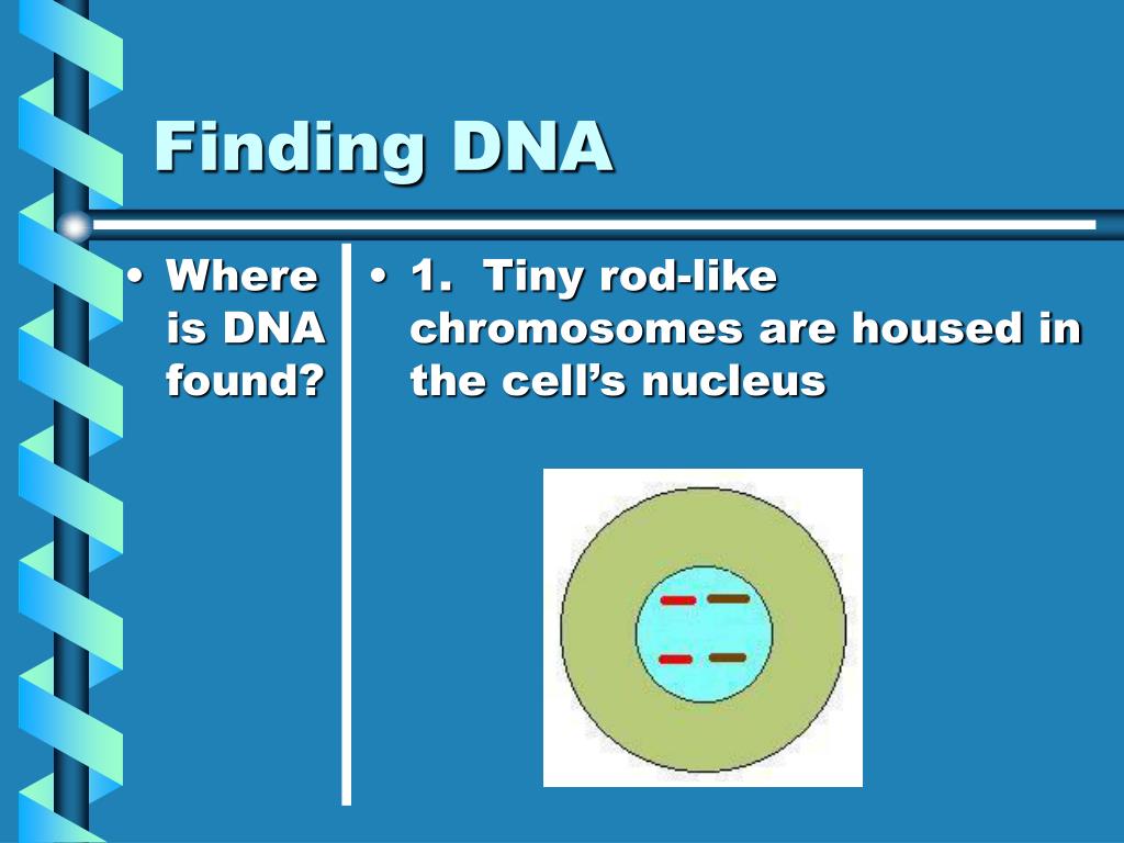 PPT PowerPoint Presentation, free download ID1400921