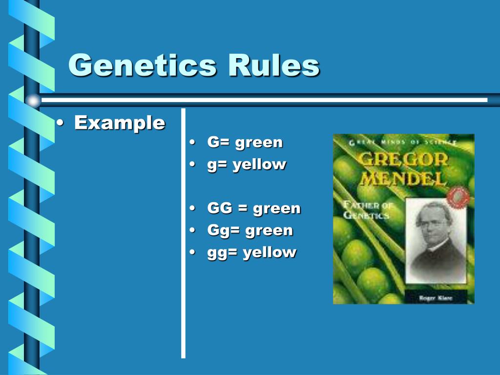 PPT PowerPoint Presentation, free download ID1400921