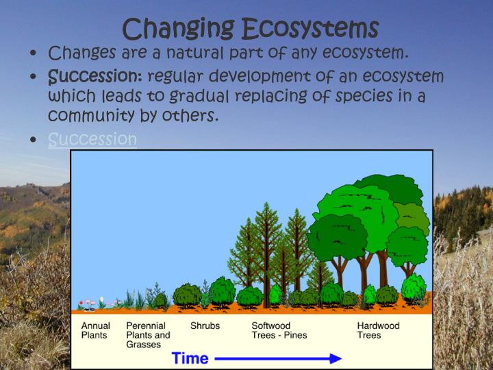 PPT Ecology PowerPoint Presentation ID1401542