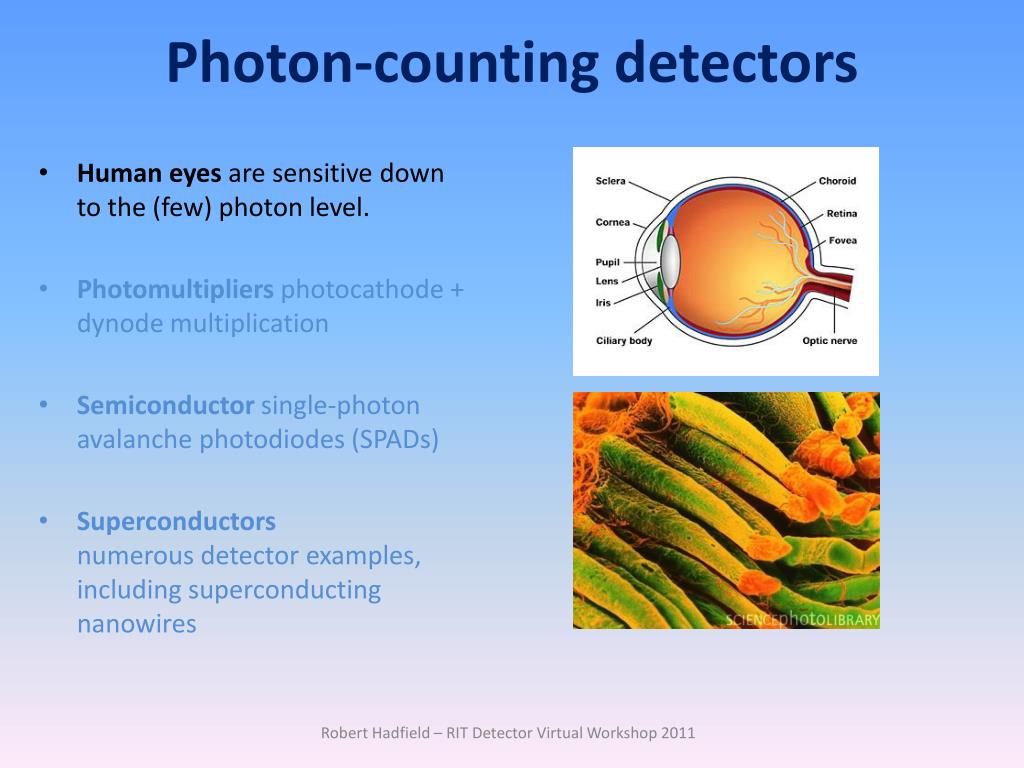 PPT Infrared superconducting singlephoton detectors PowerPoint Presentation ID1405483