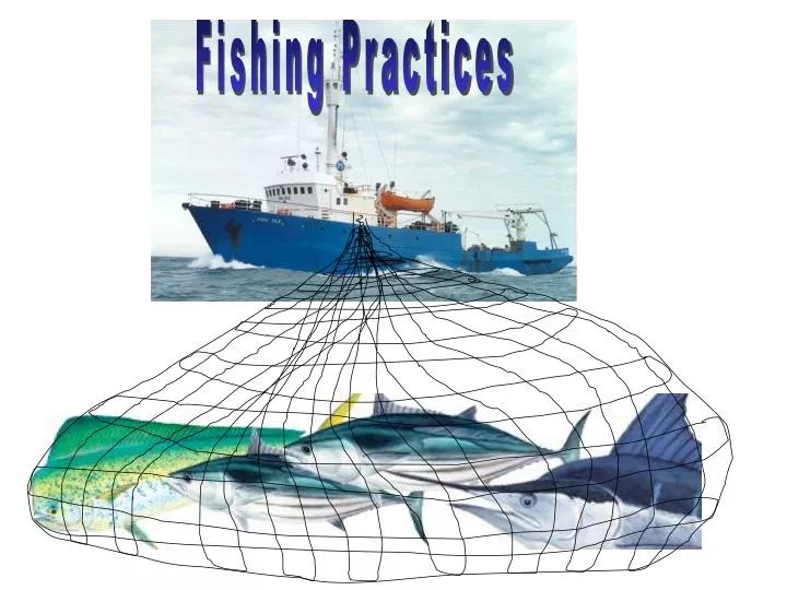 PPT Fishing Practices PowerPoint Presentation, free download ID1405571