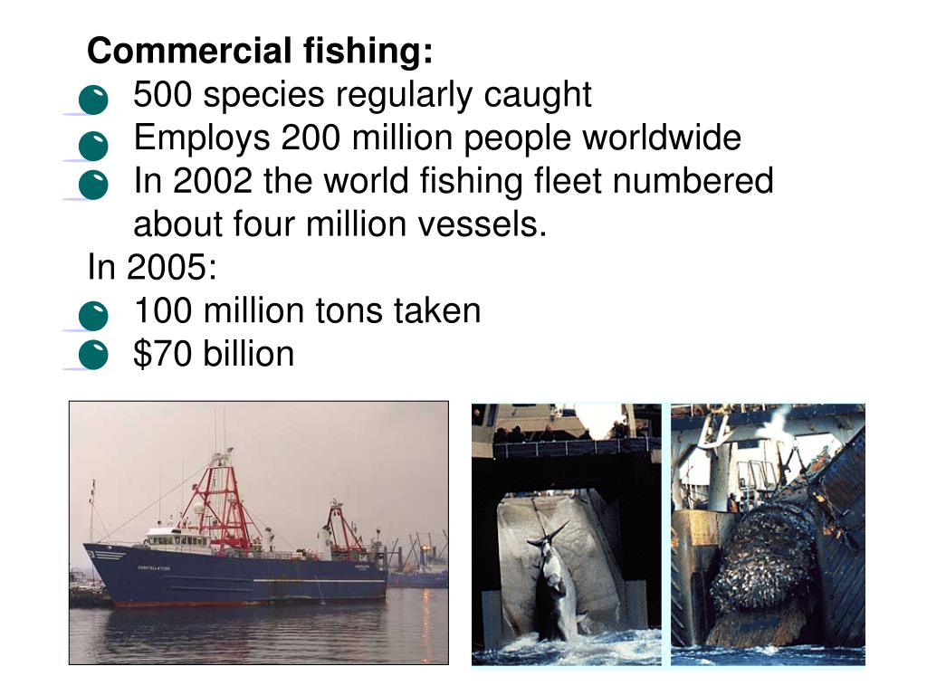 PPT Fishing Practices PowerPoint Presentation, free download ID1405571