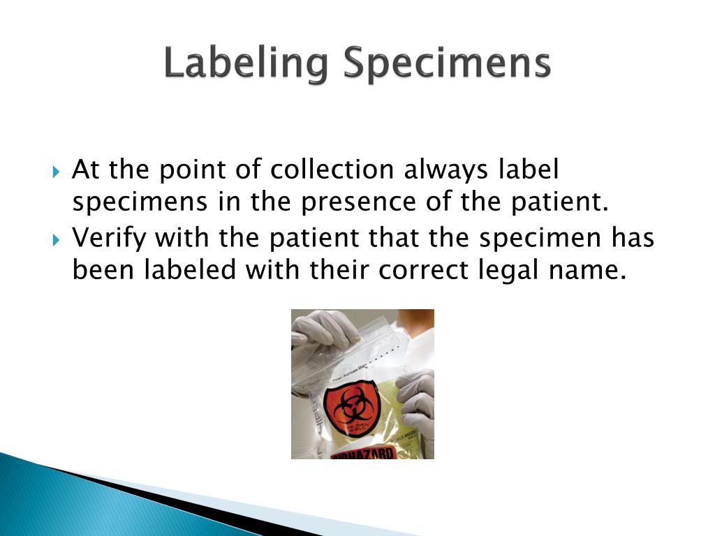 PPT National Patient Safety Goal 1 PowerPoint Presentation, free