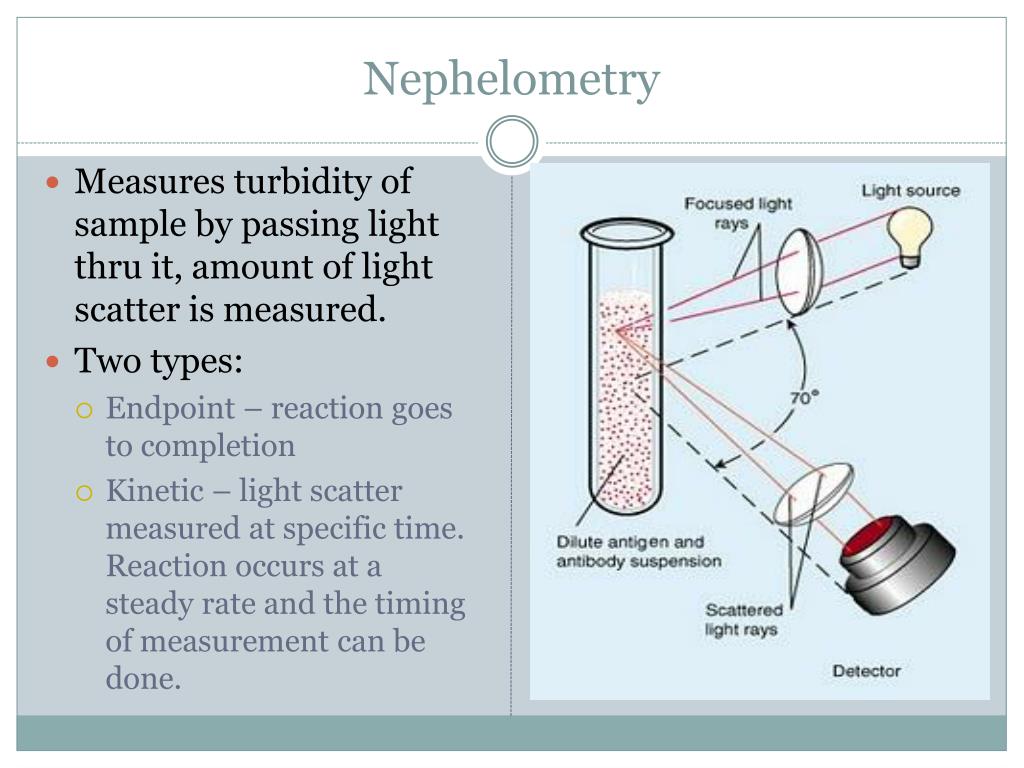 PPT Serology Review 2012 PowerPoint Presentation, free download ID
