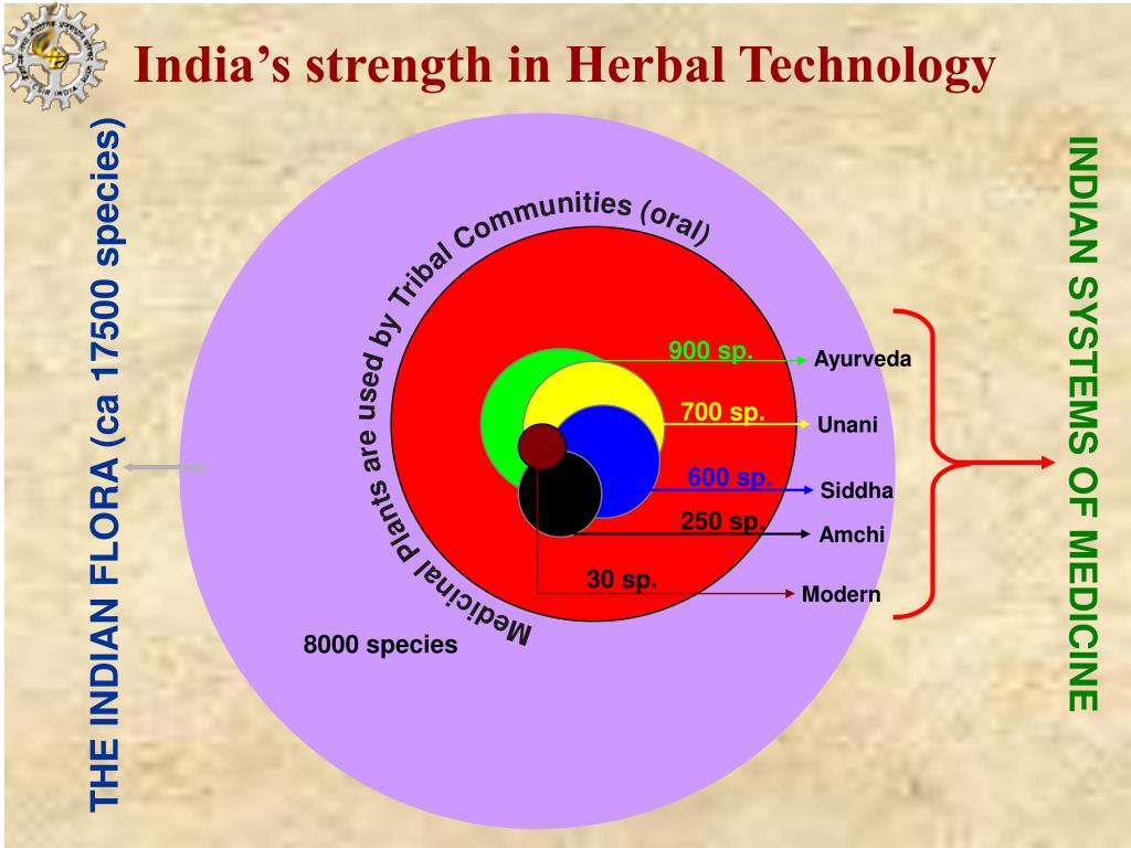 PPT Quality control & Standardization of herbal drugs PowerPoint