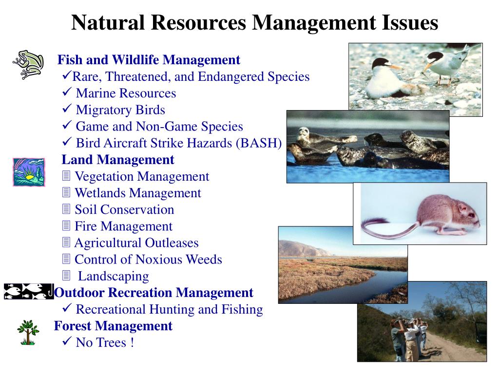 PPT Integrated Natural Resources Management Plan Development on Navy