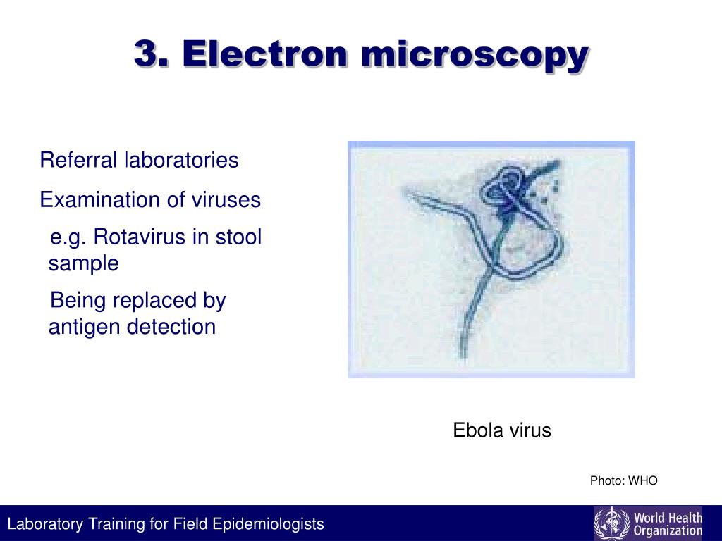 PPT Overview of Microbiology Methods PowerPoint