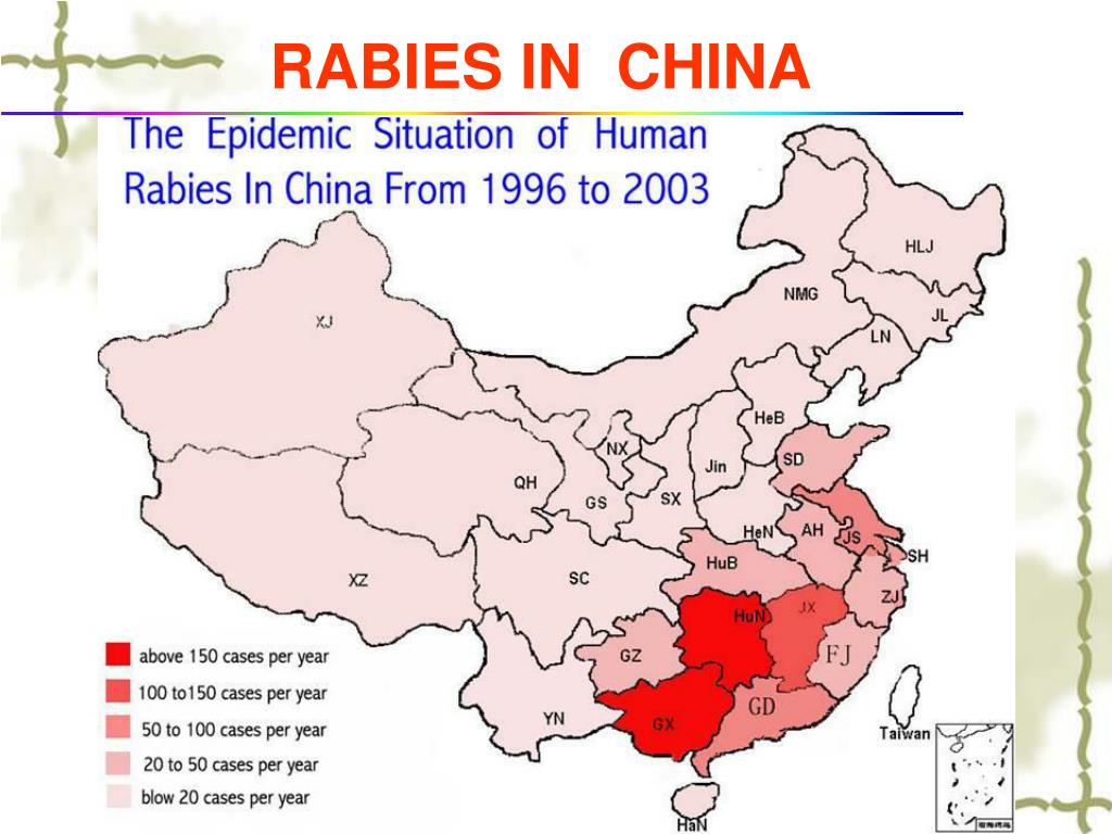 PPT Serological investigation of bat rabies in Southern China