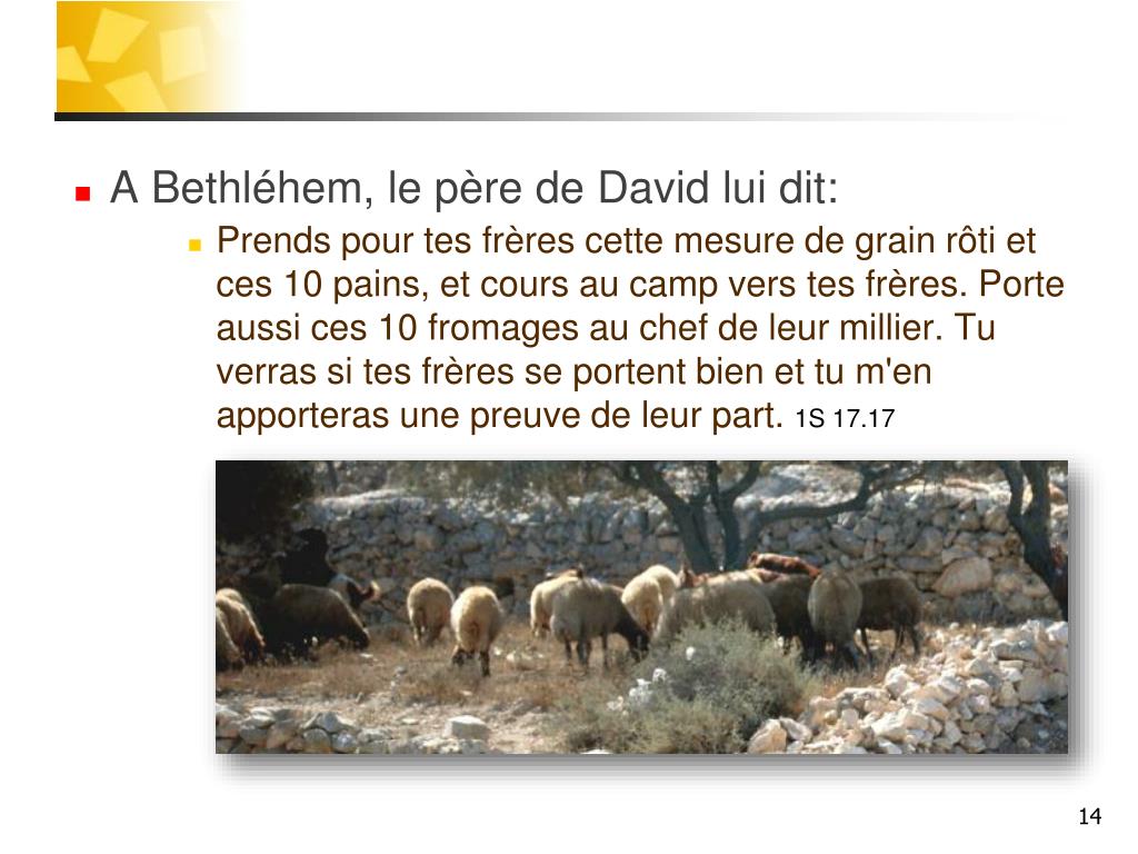 PPT La vie de David PowerPoint Presentation, free download ID1413355