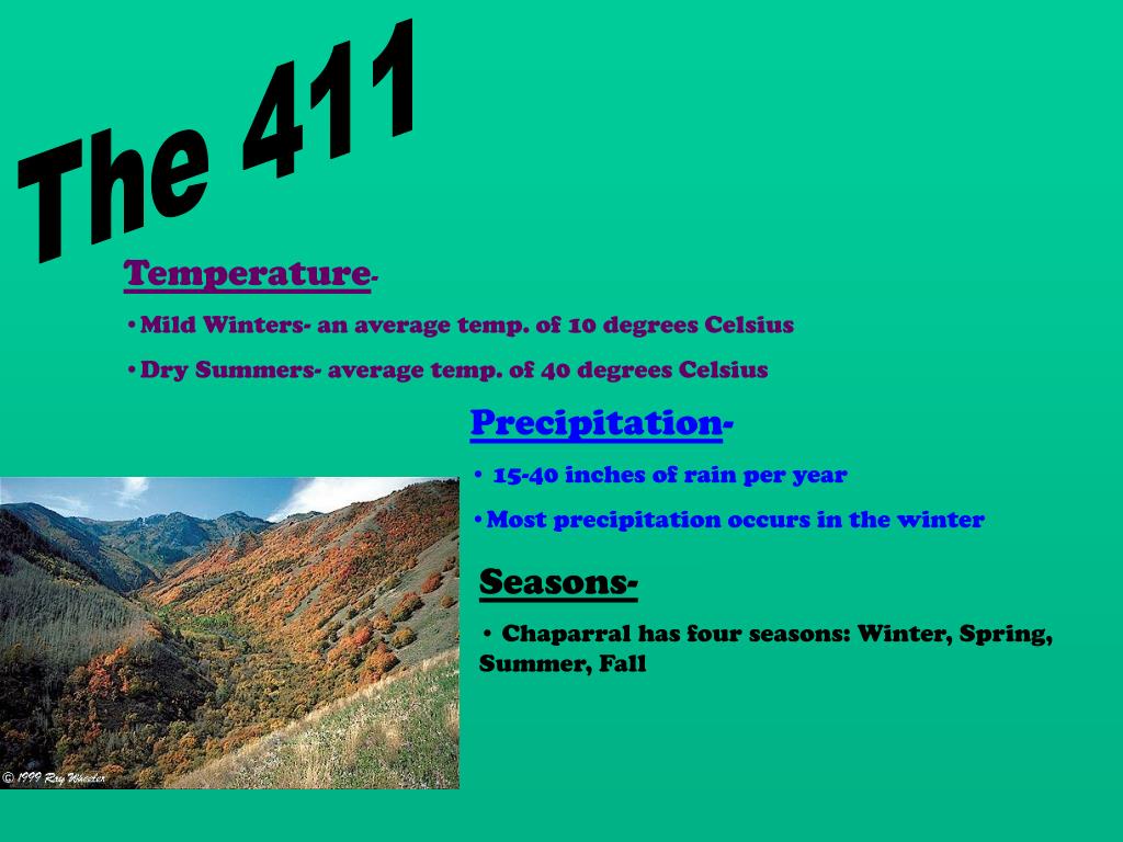 PPT Chaparral PowerPoint Presentation, free download ID1417832