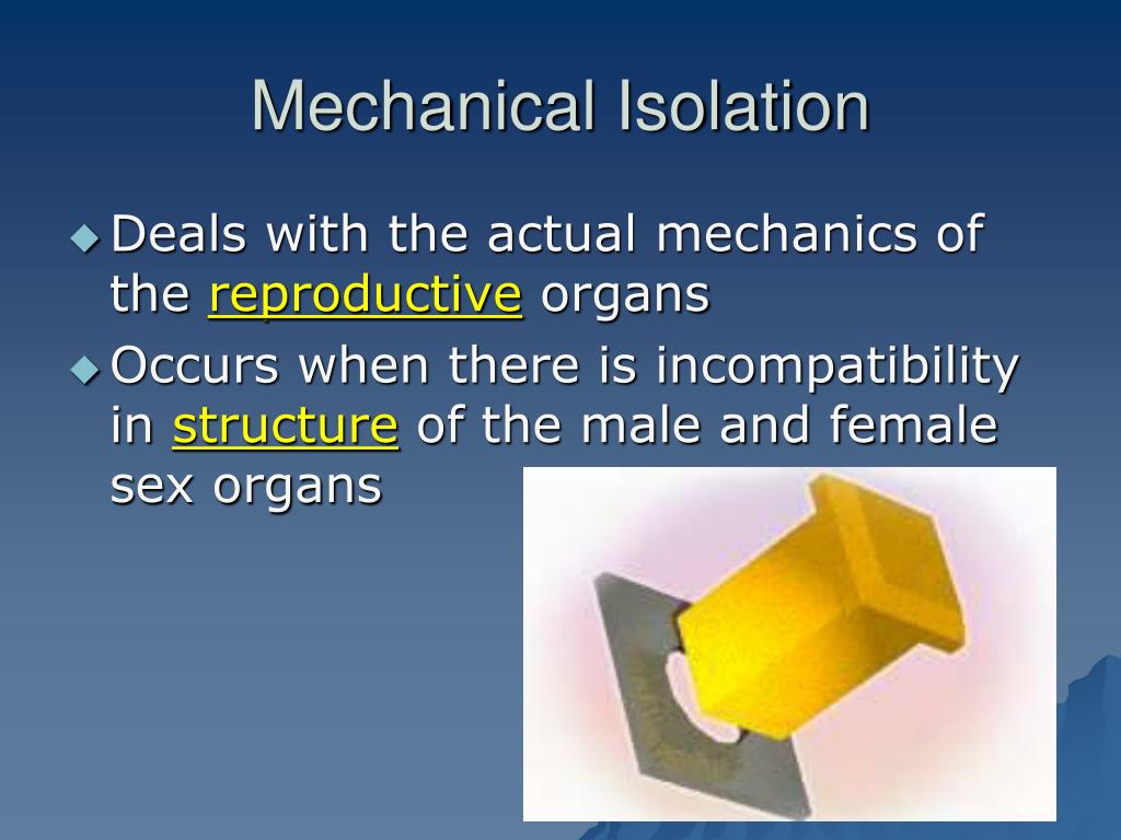 PPT Process of Speciation PowerPoint Presentation, free download ID