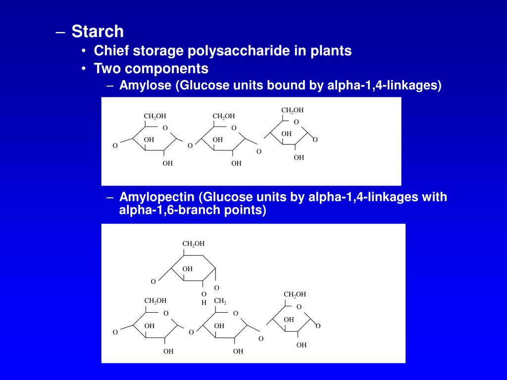 PPT Ruminant Carbohydrate Digestion PowerPoint Presentation, free